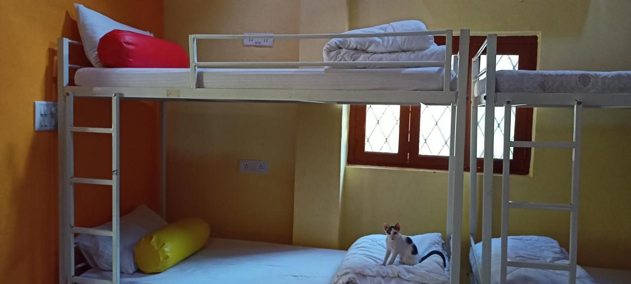 Red Monkeys Hostel Arambol Buitenkant foto
